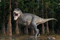 پیدا شدن بزرگترین ردپای دایناسور شکاری