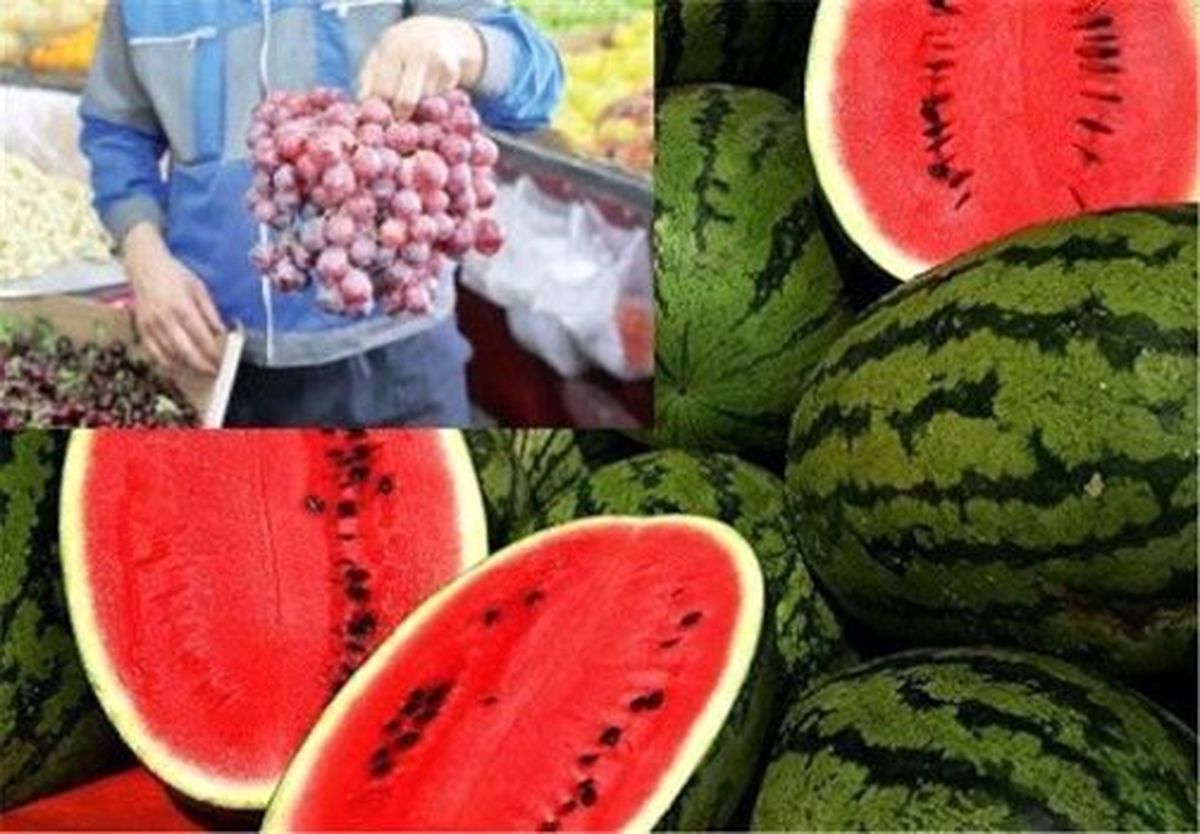 قیمت چه میوه‌هایی در میادین میوه و تره بار ارزان شد؟