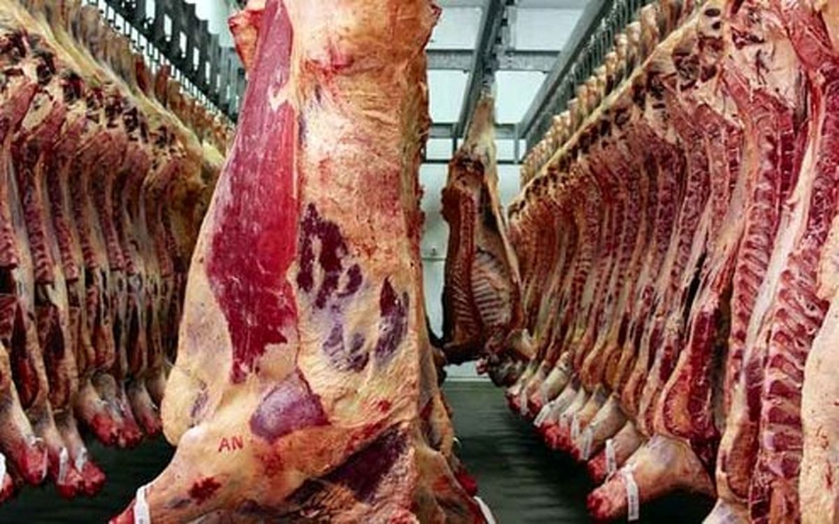 کاهش ادامهدار قیمت گوشت قرمز در میادین میوه و تره بار