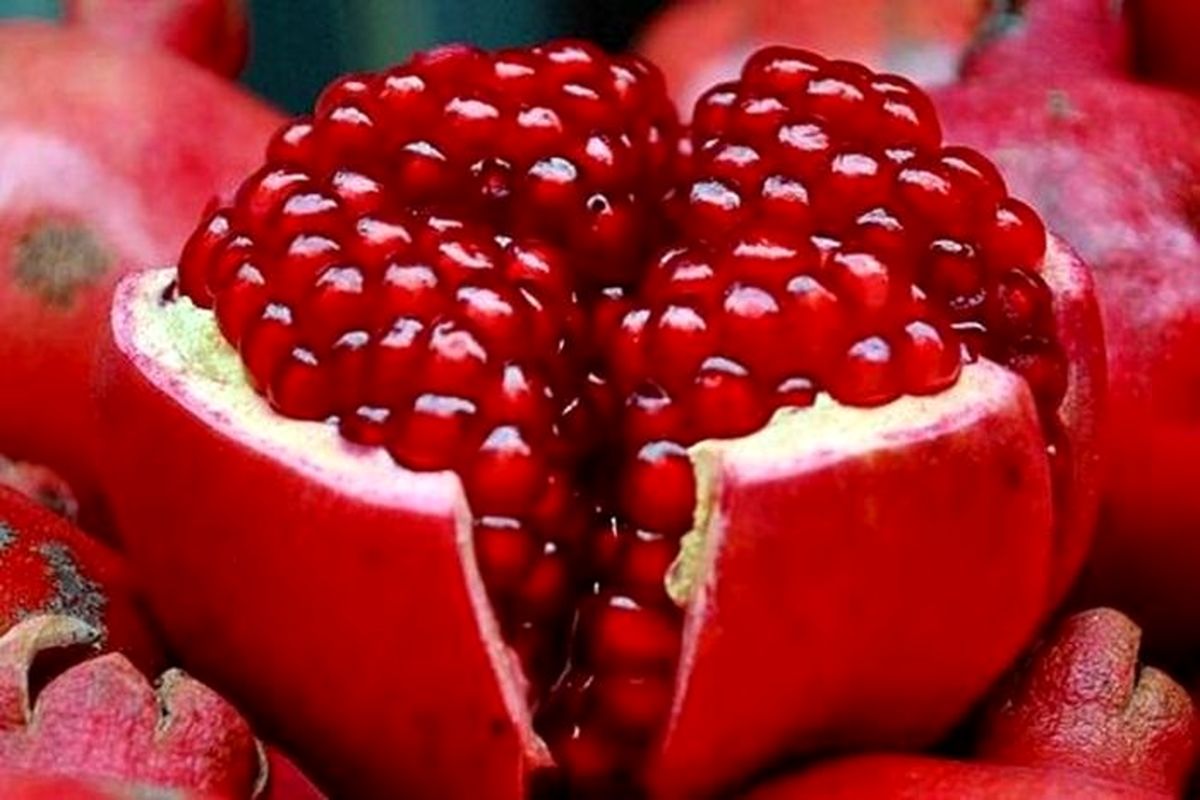قیمت عجیب انار دماوند در آستانه شب یلدا