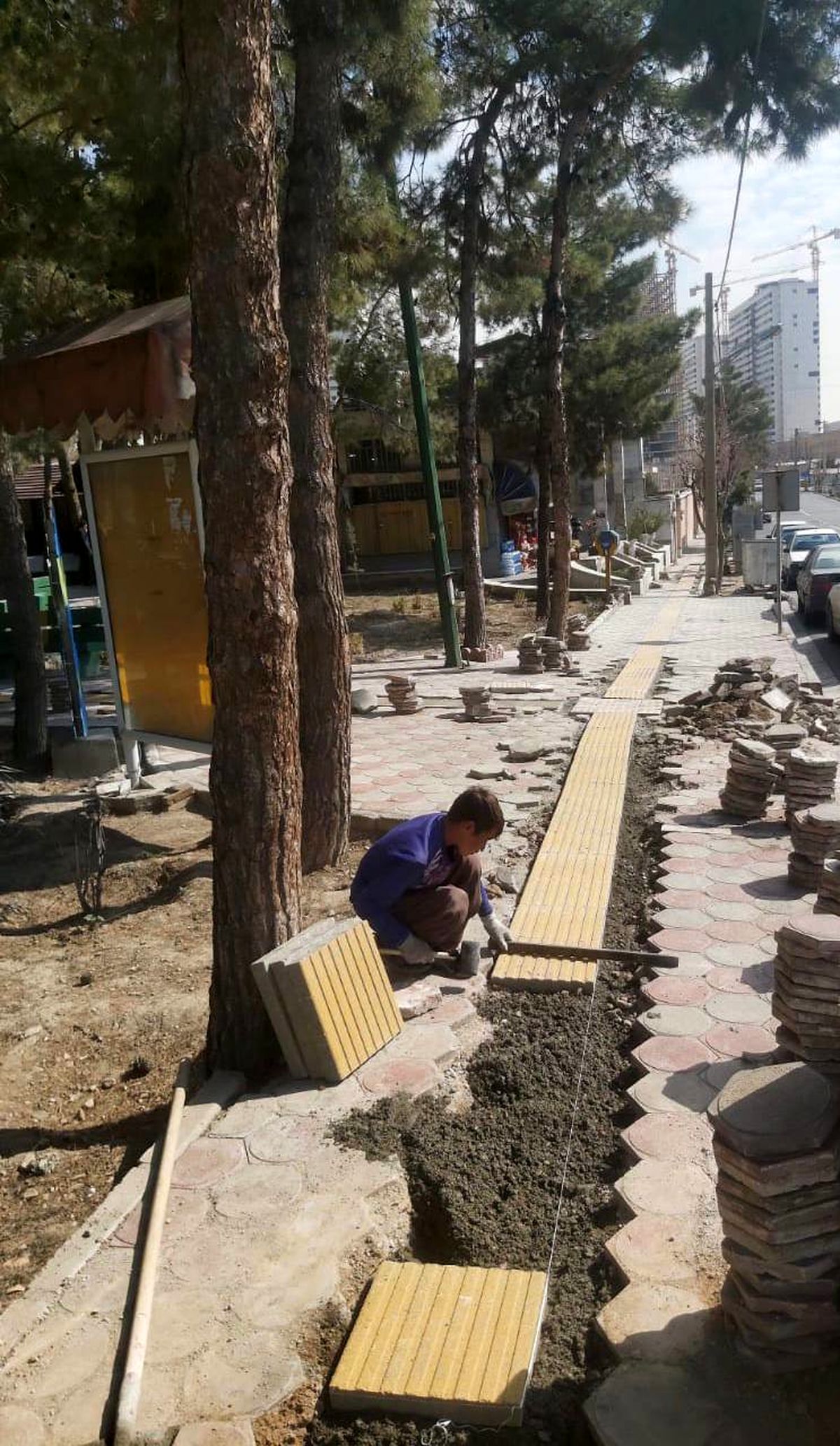 اجرای عملیات مناسب سازی چهار
بوستان در منطقه ۲۲