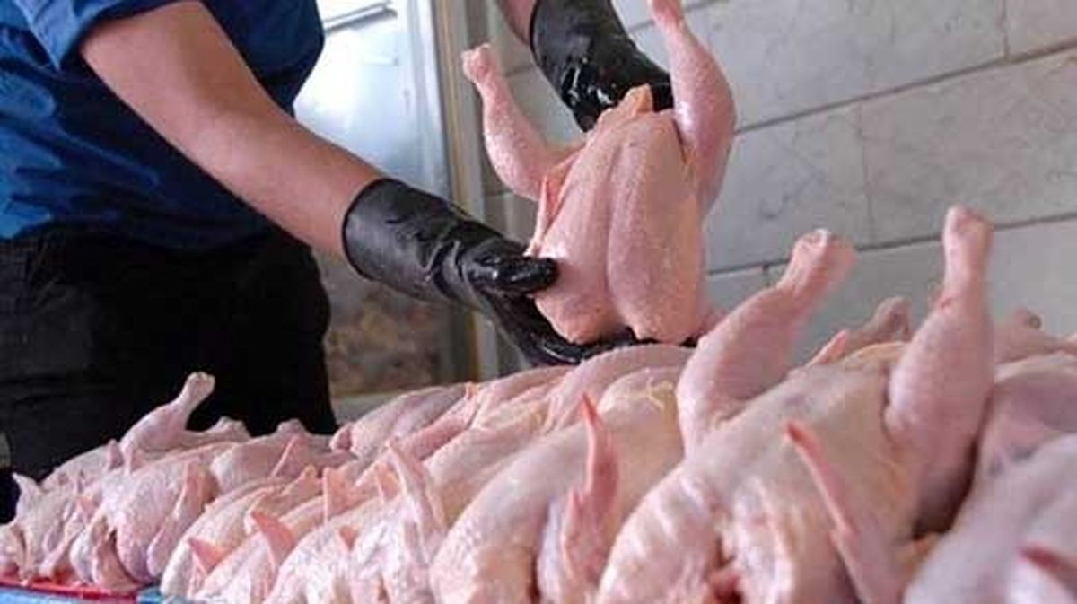 قیمت جدید مرغ به زودی اعلام میشود