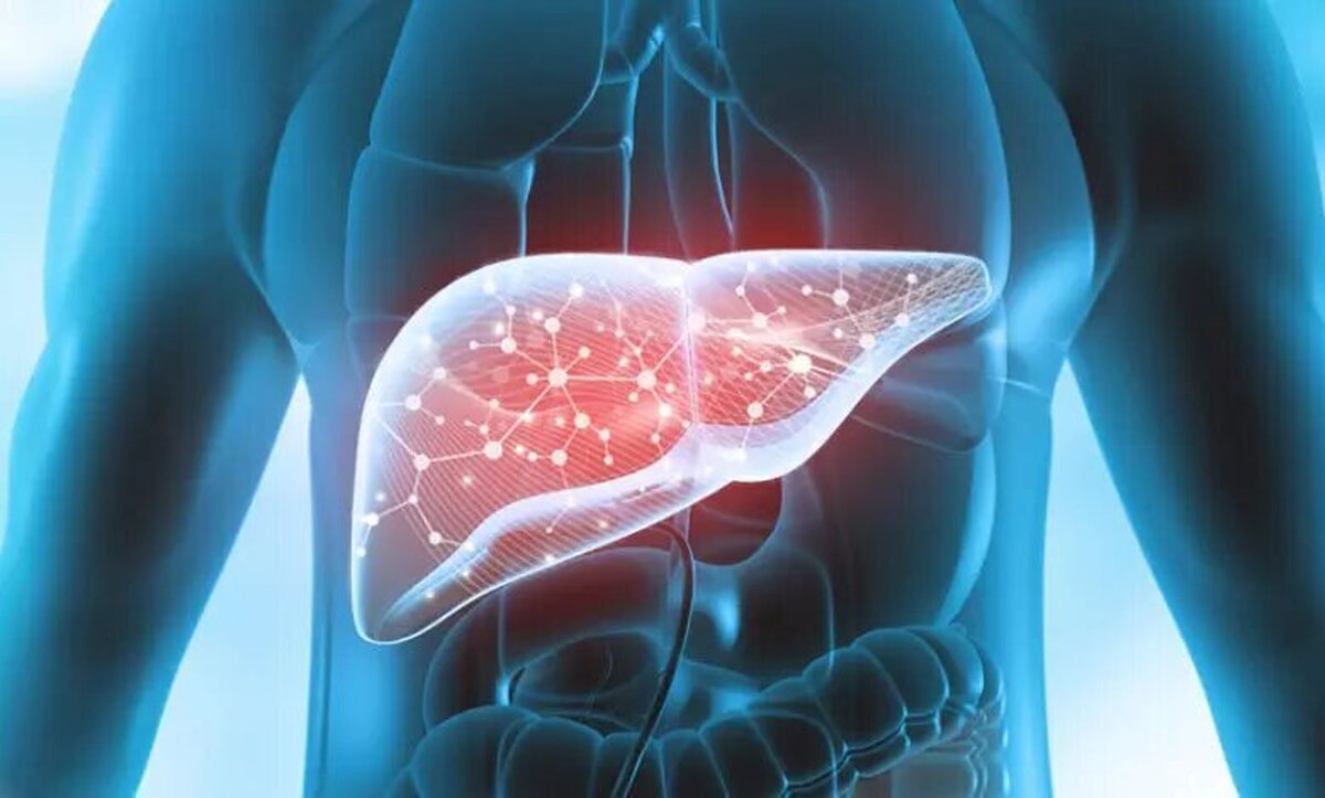 آیا ماءالشعیر غیرالکلی برای کبد چرب مضر است؟  میزان واقعی الکل در نوشیدنی‌های بدون الکل