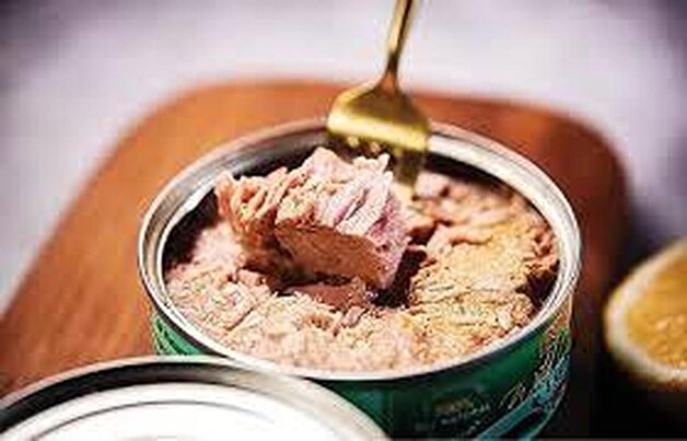 آیا خوردن روزانه ماهی تُن بی‌خطر است؟