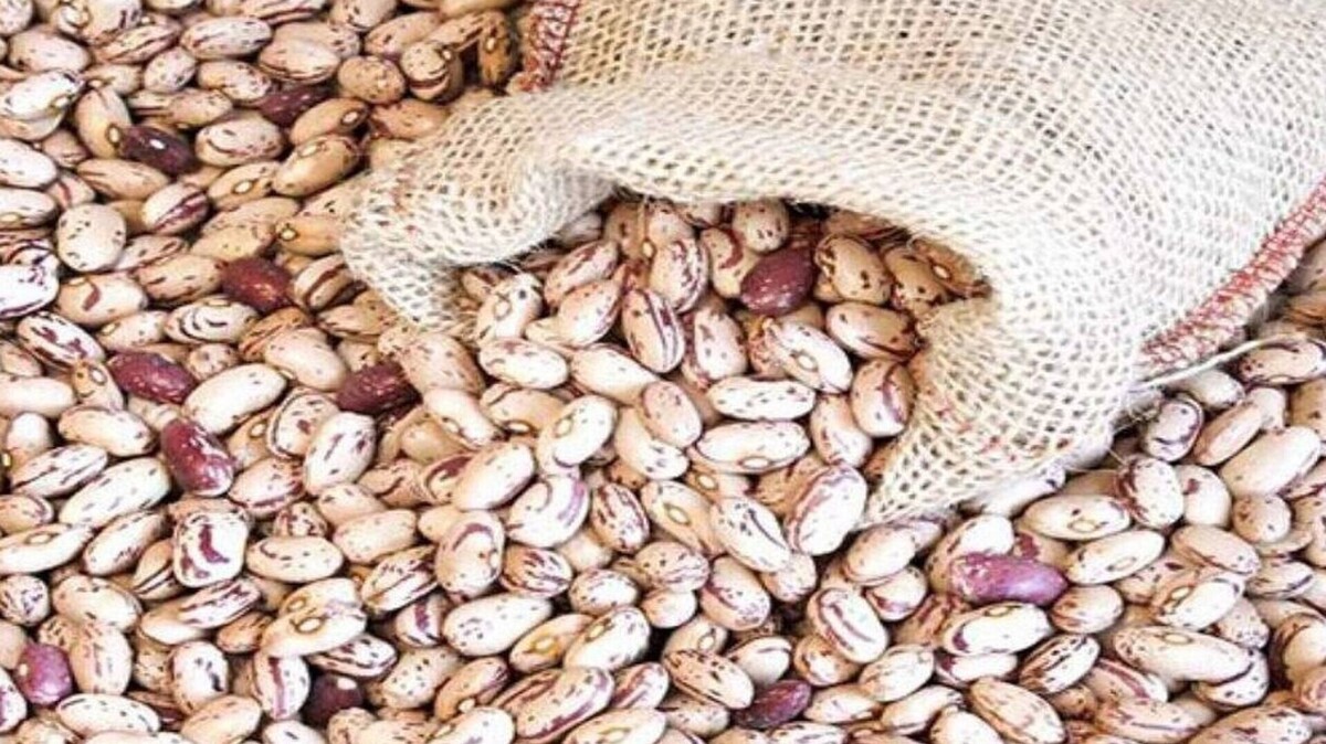 قیمت لوبیا کاهش می‌یابد؟
