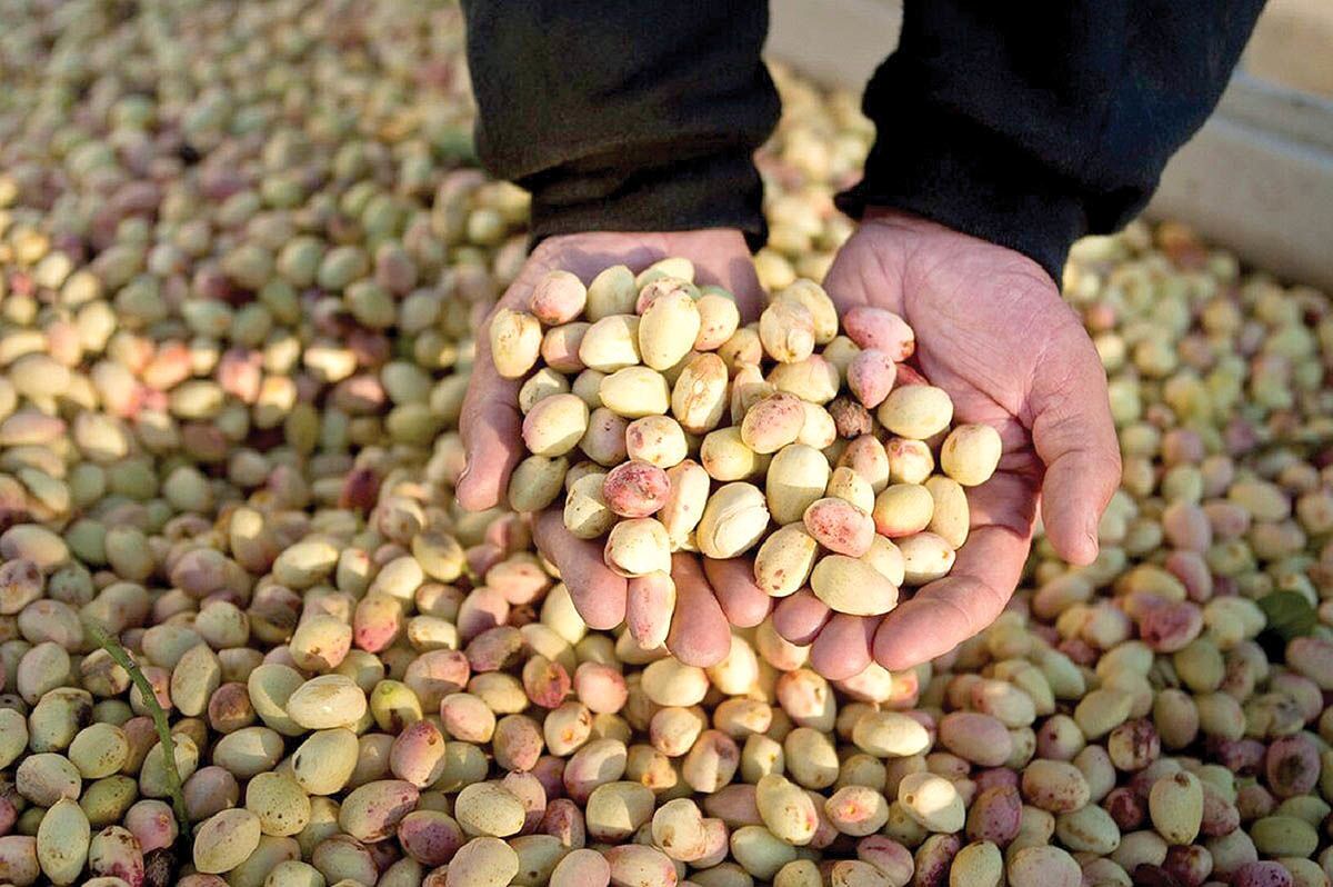 این محصول ایرانی بازارهای جهانی را تسخیر کرد