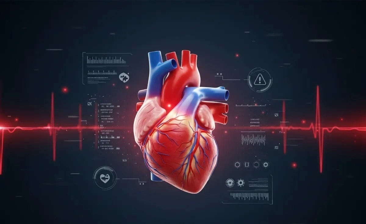 راز طول عمر سالم‌تر: با ۴ راهکار آسان از قلب خود محافظت کنید