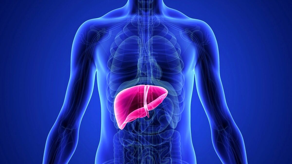 بی‌تحرکی و چاقی ریشه بیماری کبدچرب