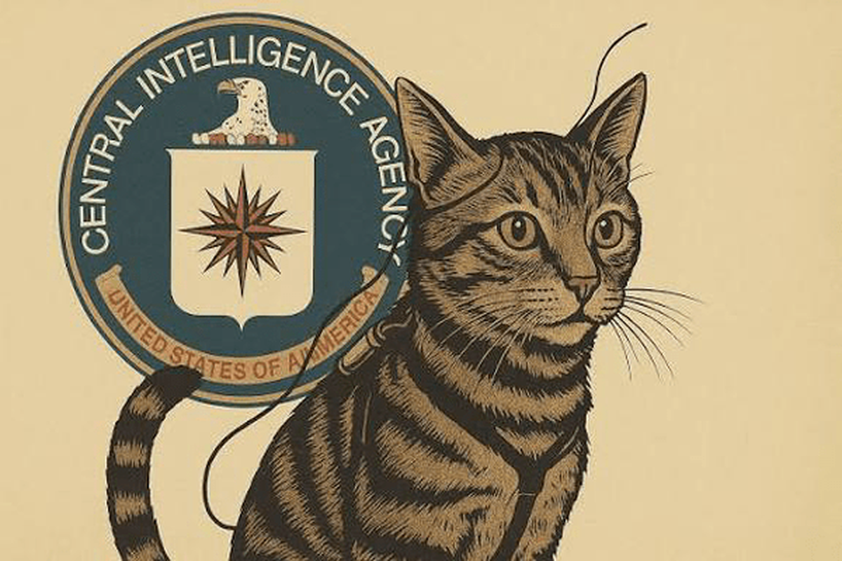 ضربه ۲۰ میلیون‌ دلاری یک گربه به سازمان‌ جاسوسی آمریکا!