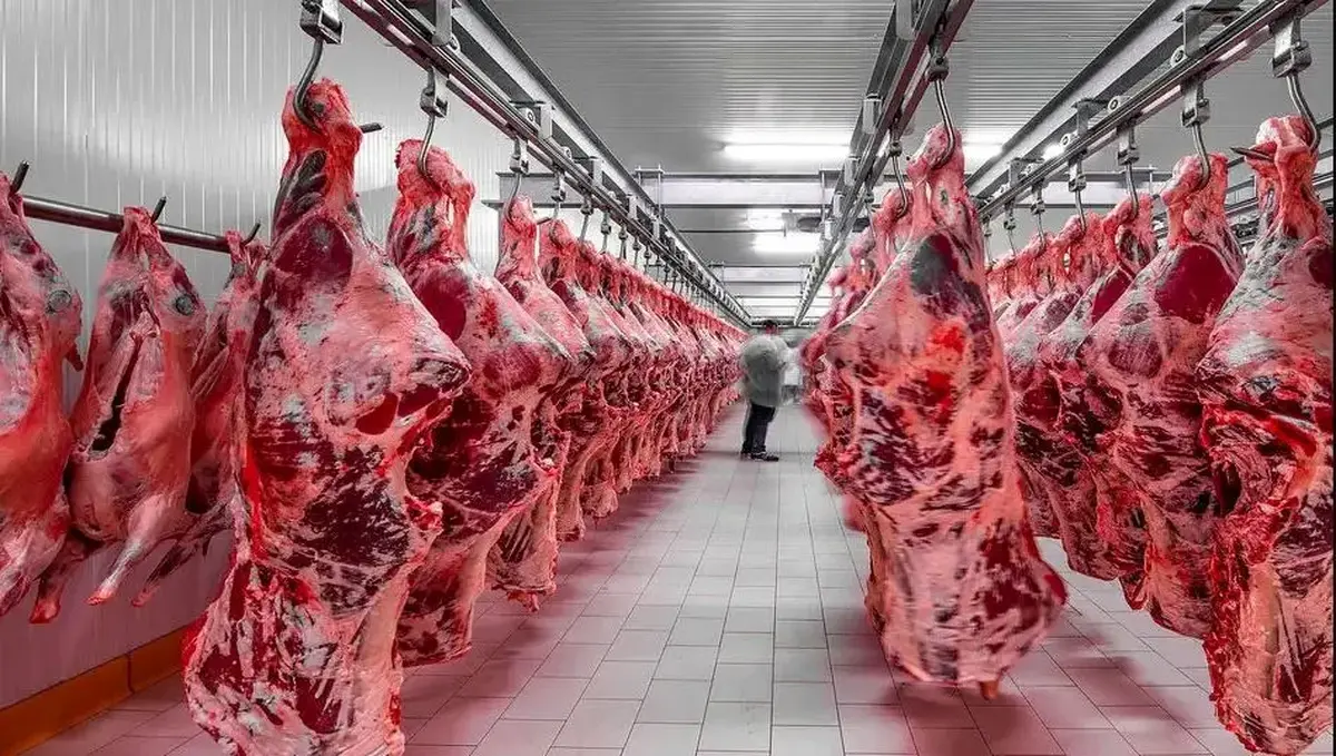 توزیع گوشت وارداتی با قیمت جدید از هفته آینده