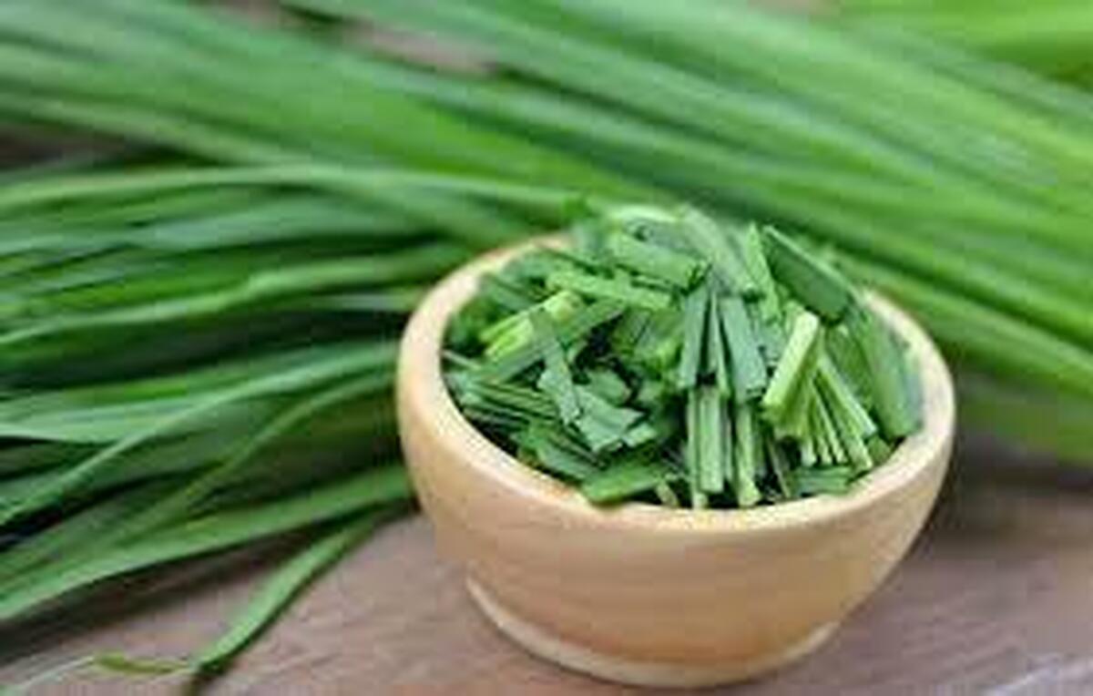 تره، قند بالایی ندارد و برای دیابتی‌ها ممنوع نیست