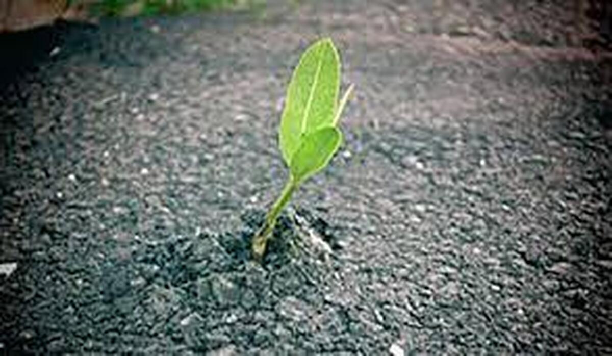 تاب آوری عاطفی چیست و راههای تقویت آن کدامست؟