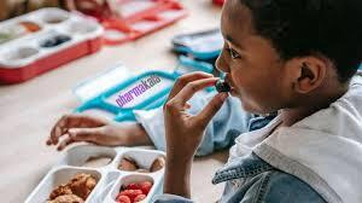 میکروپلاستیک‌ها به مغز استخوان انسان نیز نفوذ کرده اند